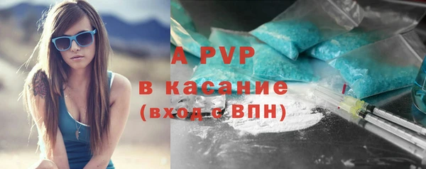 ешки Менделеевск
