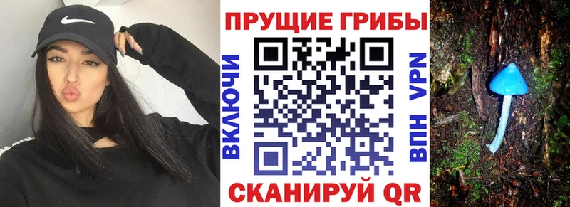 Псилоцибиновые грибы Psilocybine cubensis  где продают   Лихославль 